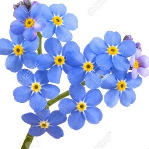 Meet your Posher, Alena